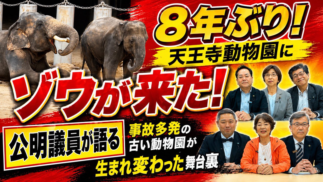 ゾウが来たゾウ